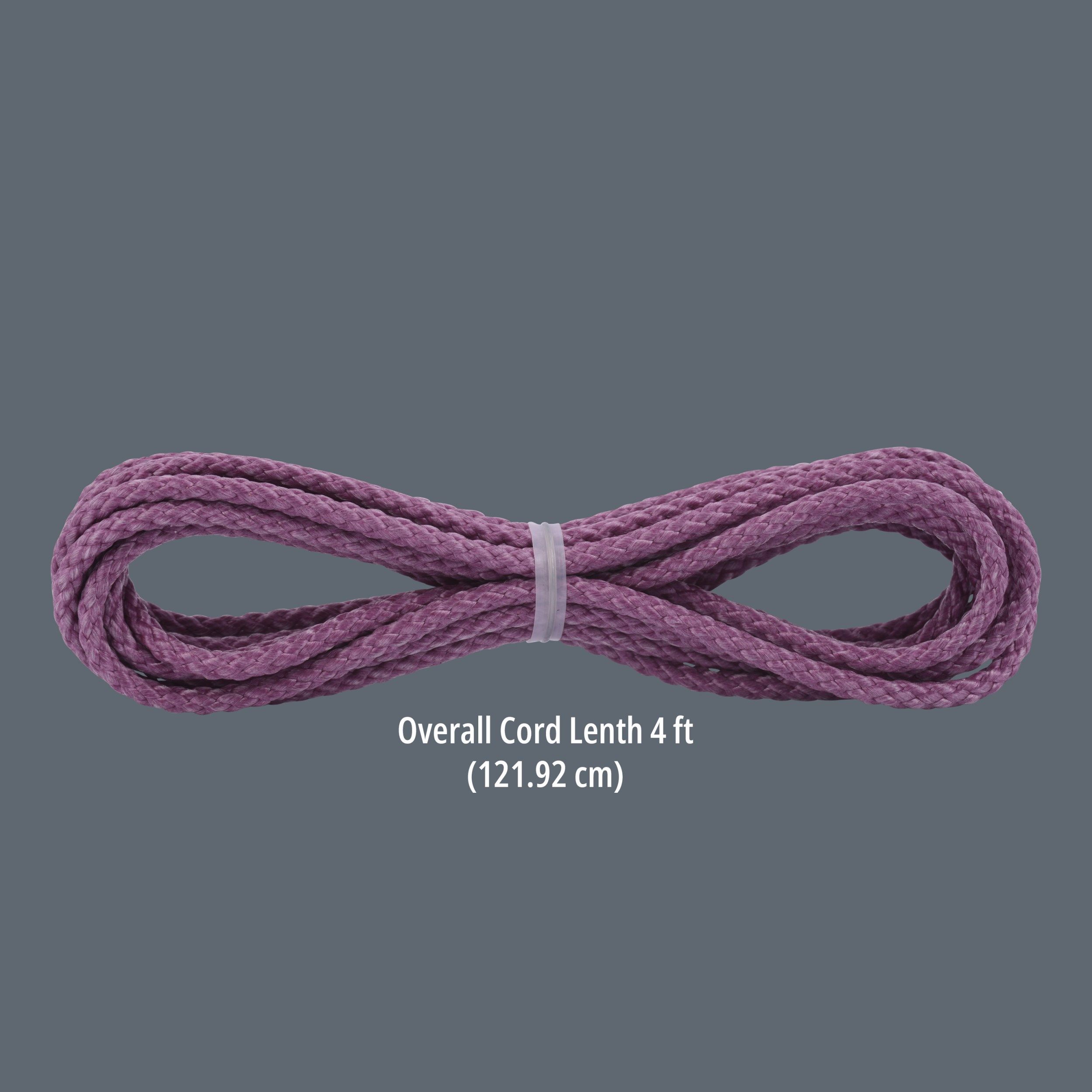 Cord Loop 4FT - Plum_4199040770_1.jpg