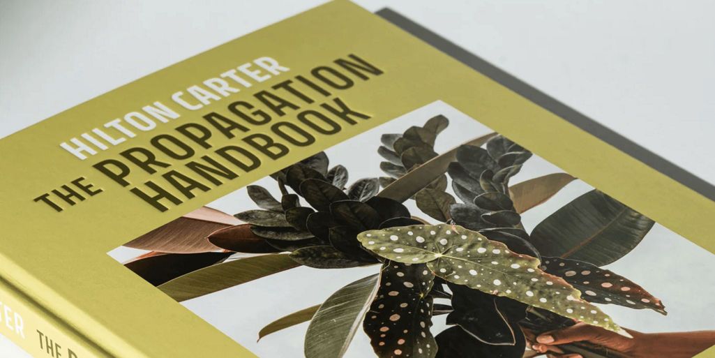 photo: hcarter-book:horizontal-md