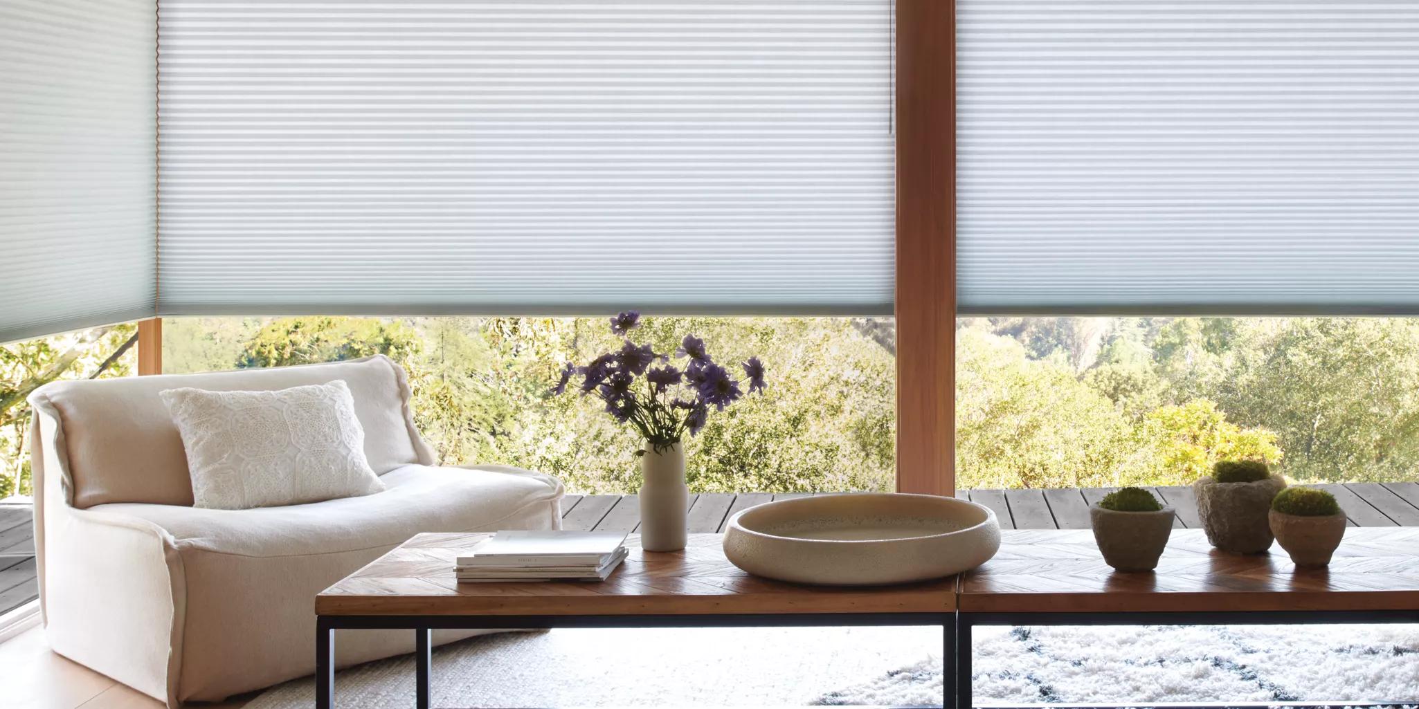 Duette Honeycomb Shades on large windows detail close up