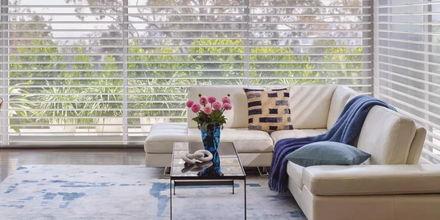 Hunter Douglas Shades
