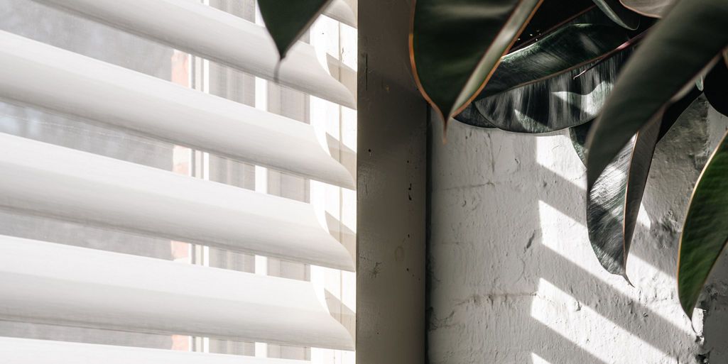 photo: hcarter-silhouette-detail-03:horizontal-md