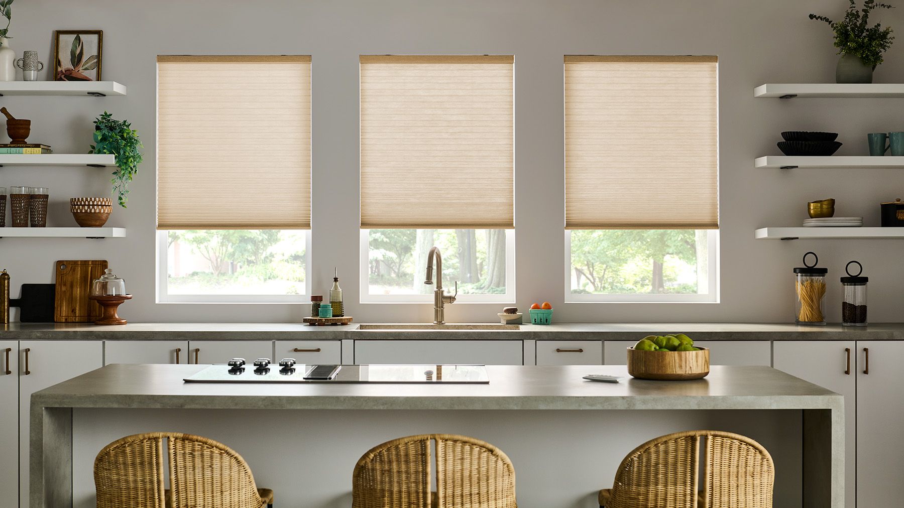 Motorized Blinds and Shades
