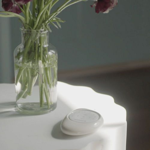 photo: rasheeda-powerview:square-md