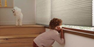 child looking out a window - mobile