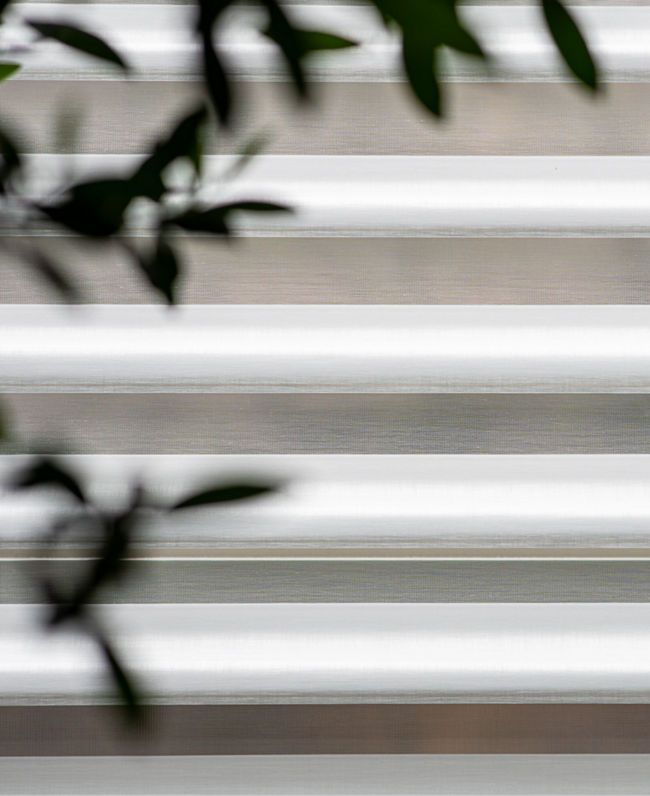 photo: hcarter-silhouette-opened-01:vertical-9-11