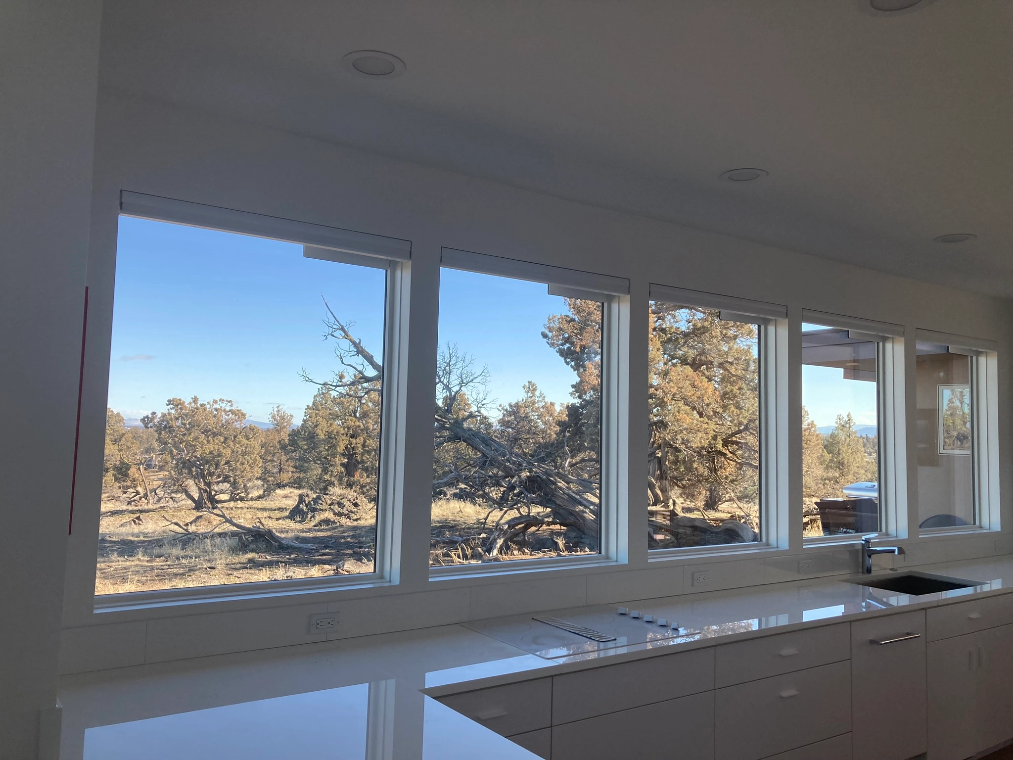 A window with Hunter Douglas shades.