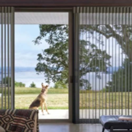 Open Patio Shades with dog.