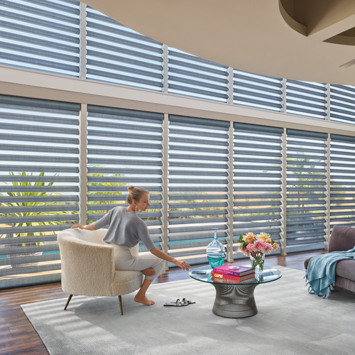 Luxury Blinds for Windows