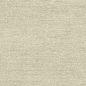 Swatch image for Satin Metallic