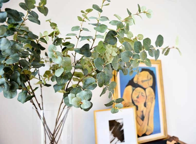 A house plant next to a few paintings
