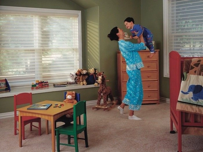 Carpet cleaning services