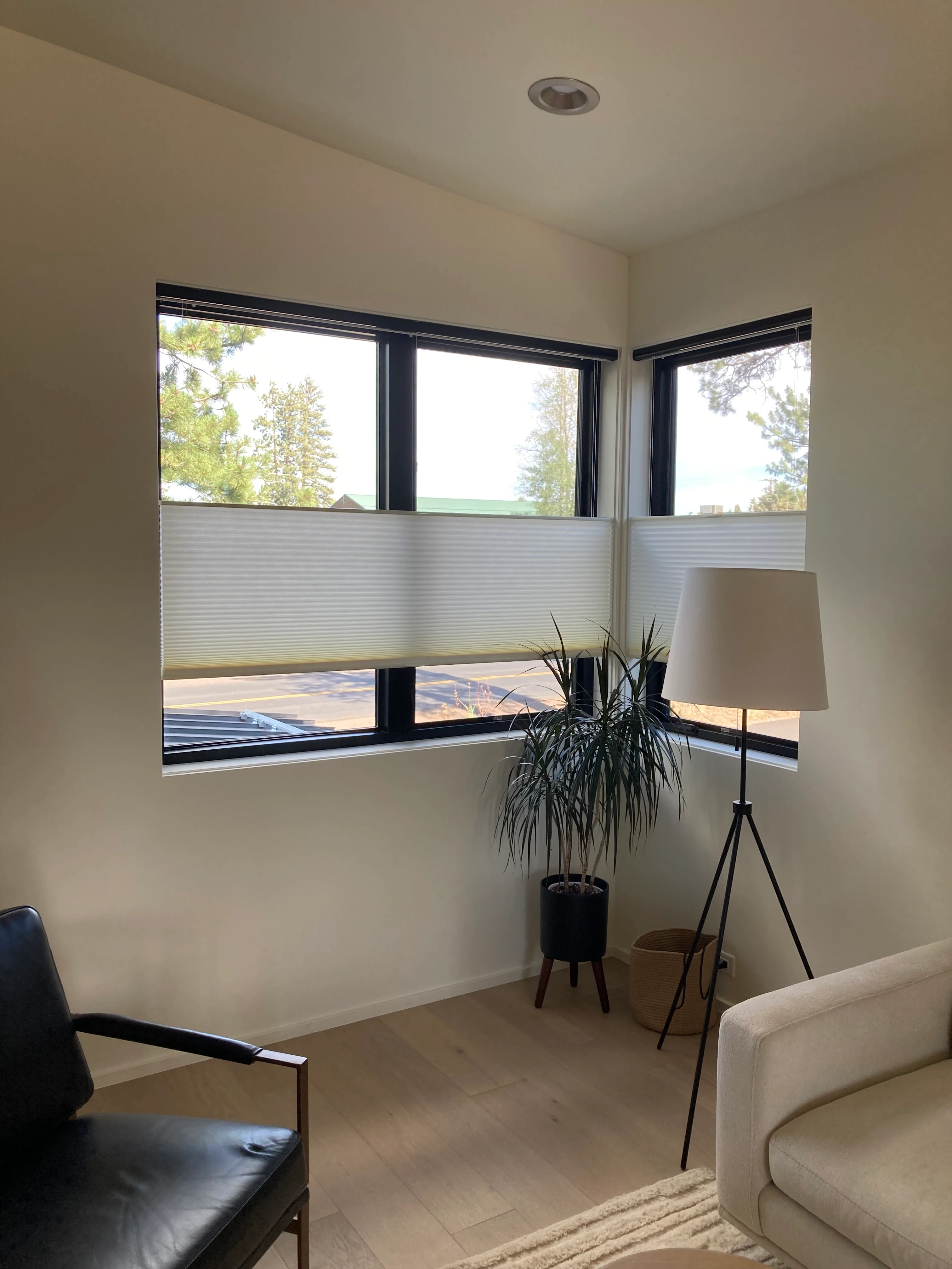 A window with Hunter Douglas shades.