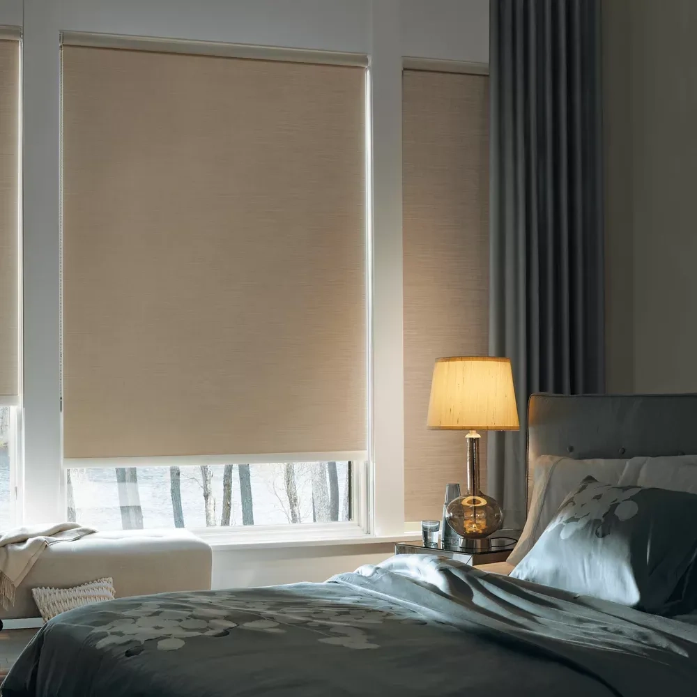 Hunter Douglas Designer Roller Shades