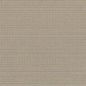 Swatch image for Stria<sup>&#8482;</sup>