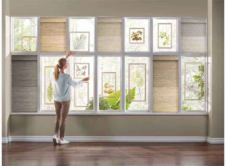 Hunter Douglas Dealer Image