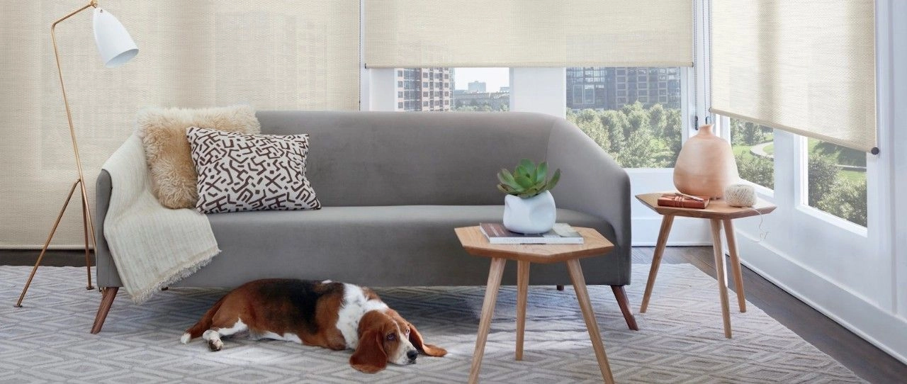 upholstery cleaning services