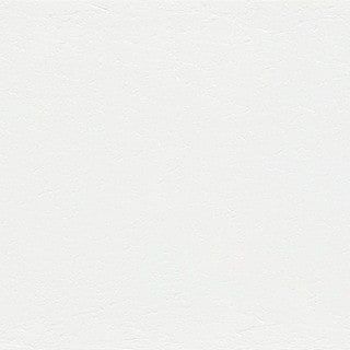 Extreme White