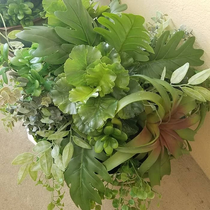 Image 40