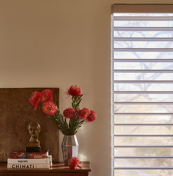 Hunter Douglas Silhouette shades