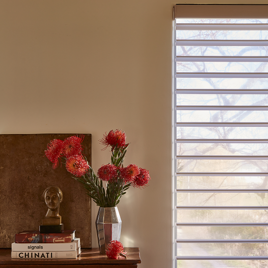 Hunter Douglas Silhouette shades