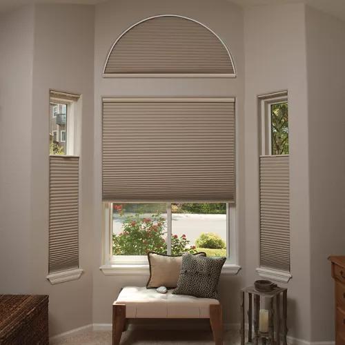 Duette Window Coverings in Living Room