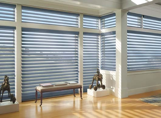 photo: Silhouette copy.jpg