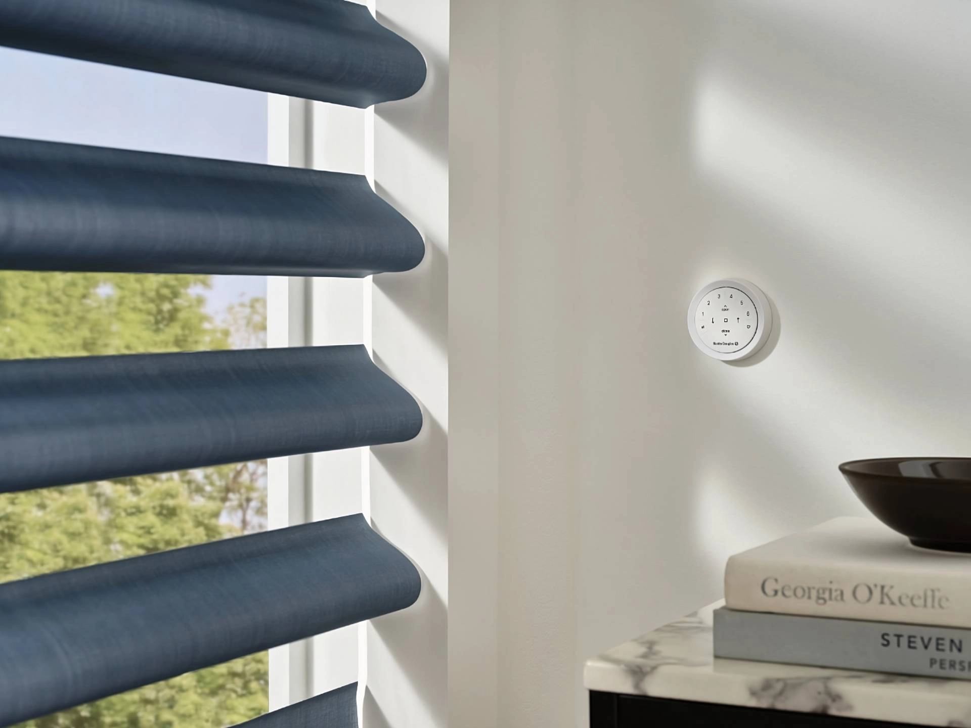 photo: 10006269-banner-motorized-blinds-and-window-shades-automation-options.jpg