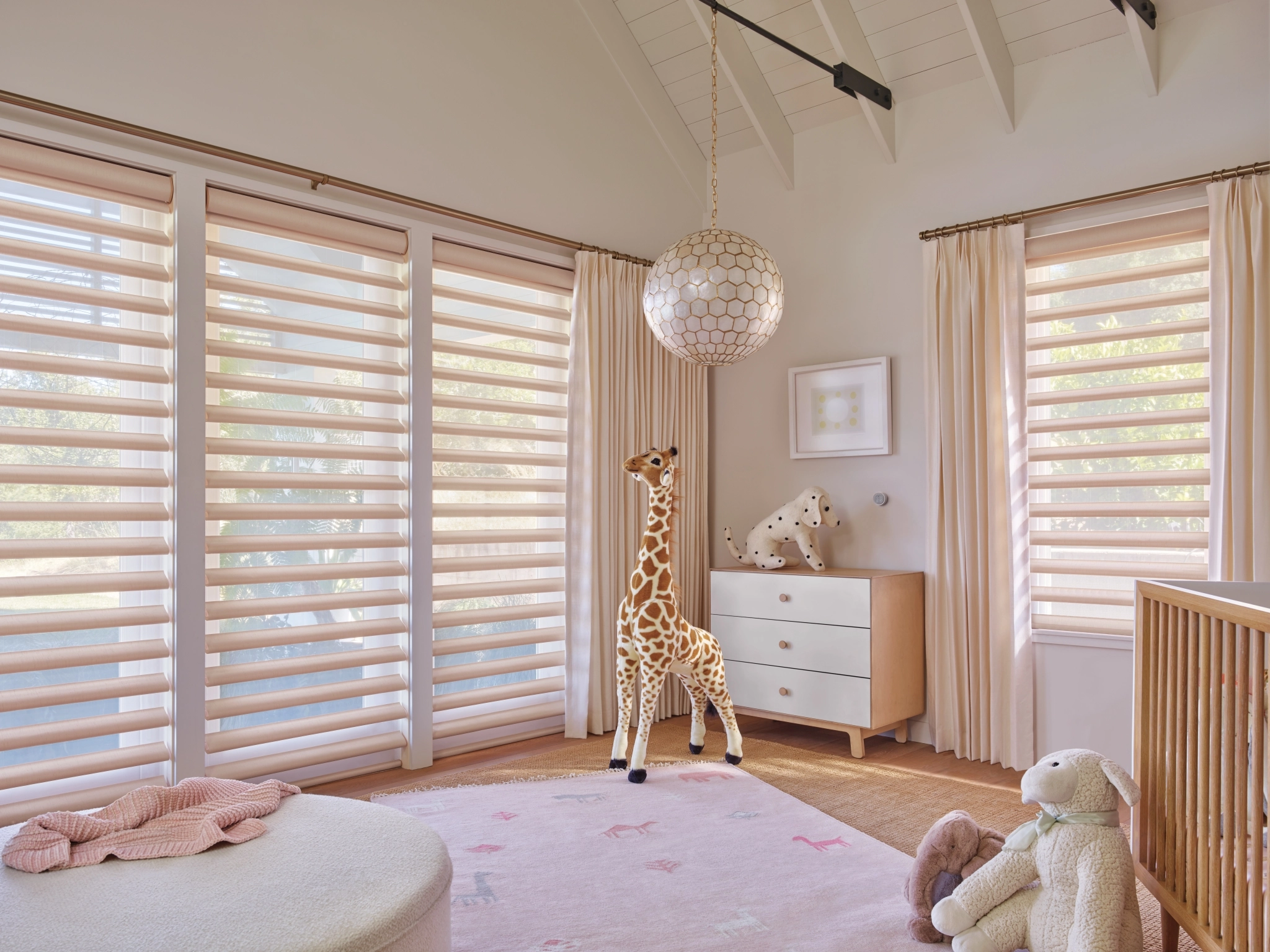 Hunter Douglas Dealer Image