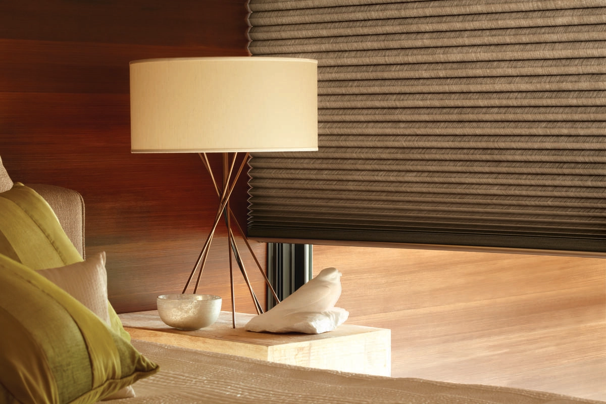 photo: 10049906-banner-best-motorized-window-treatments-for-homes.jpg