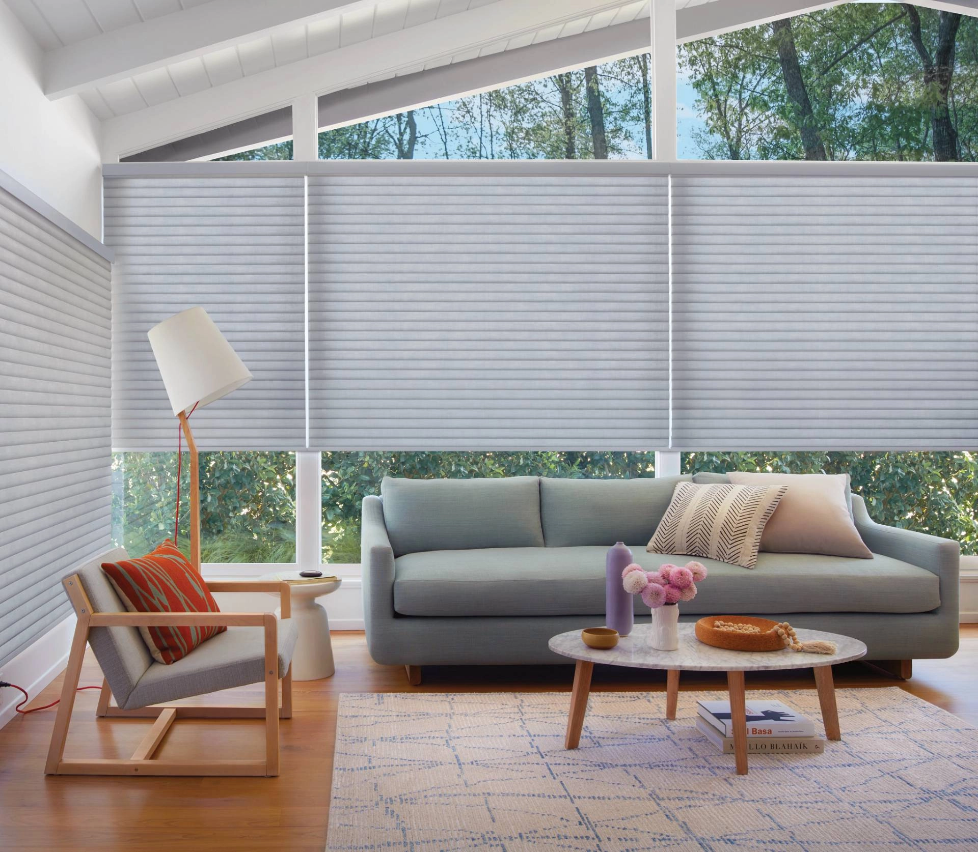 photo: 10028746-banner-what-are-the-best-window-shades-for-the-living-room.jpg
