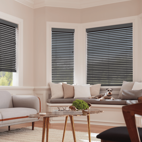 Bay Window Shades