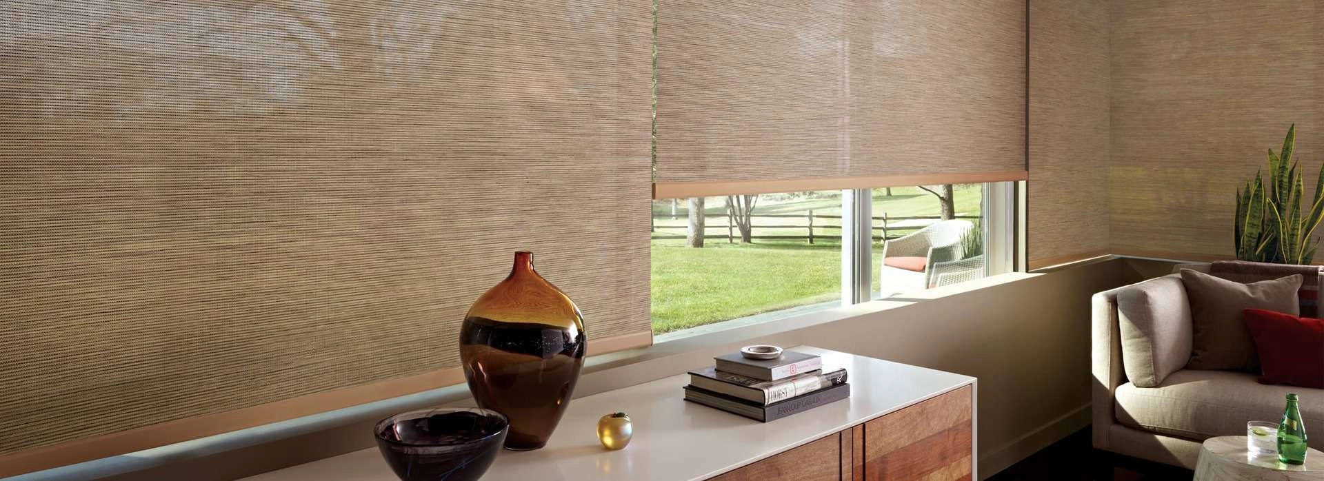 photo: best-roller-and-solar-shades-for-homes.jpg