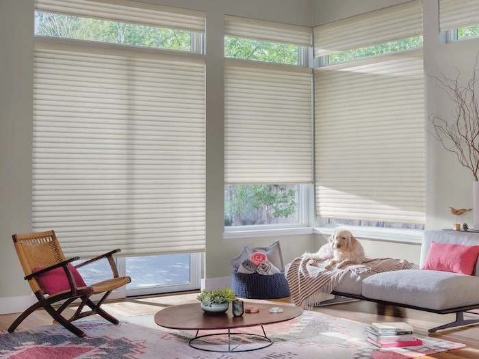 photo: pet-friendly-window-shades-living-room.jpeg