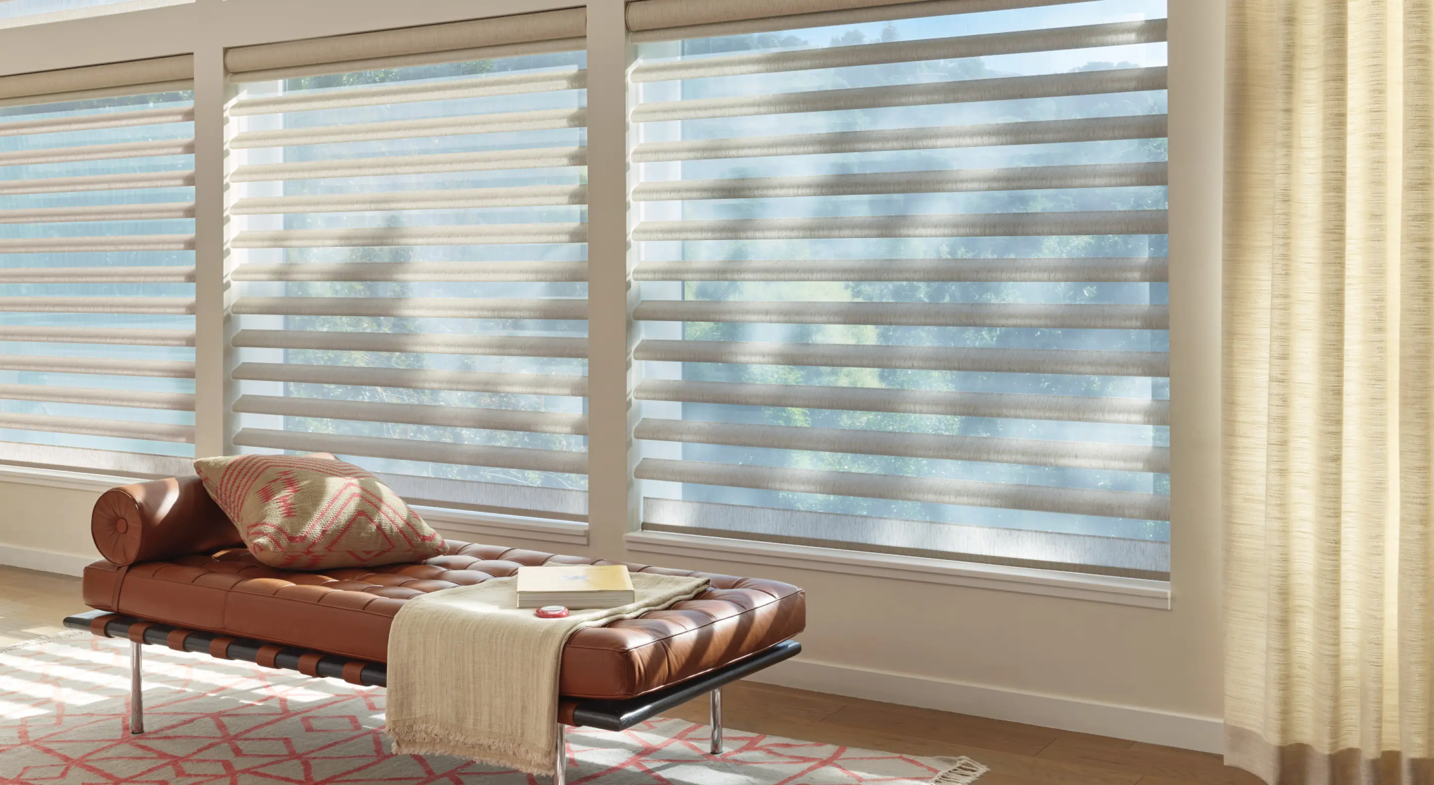 Hunter Douglas Window Shades with PowerView automation in living room