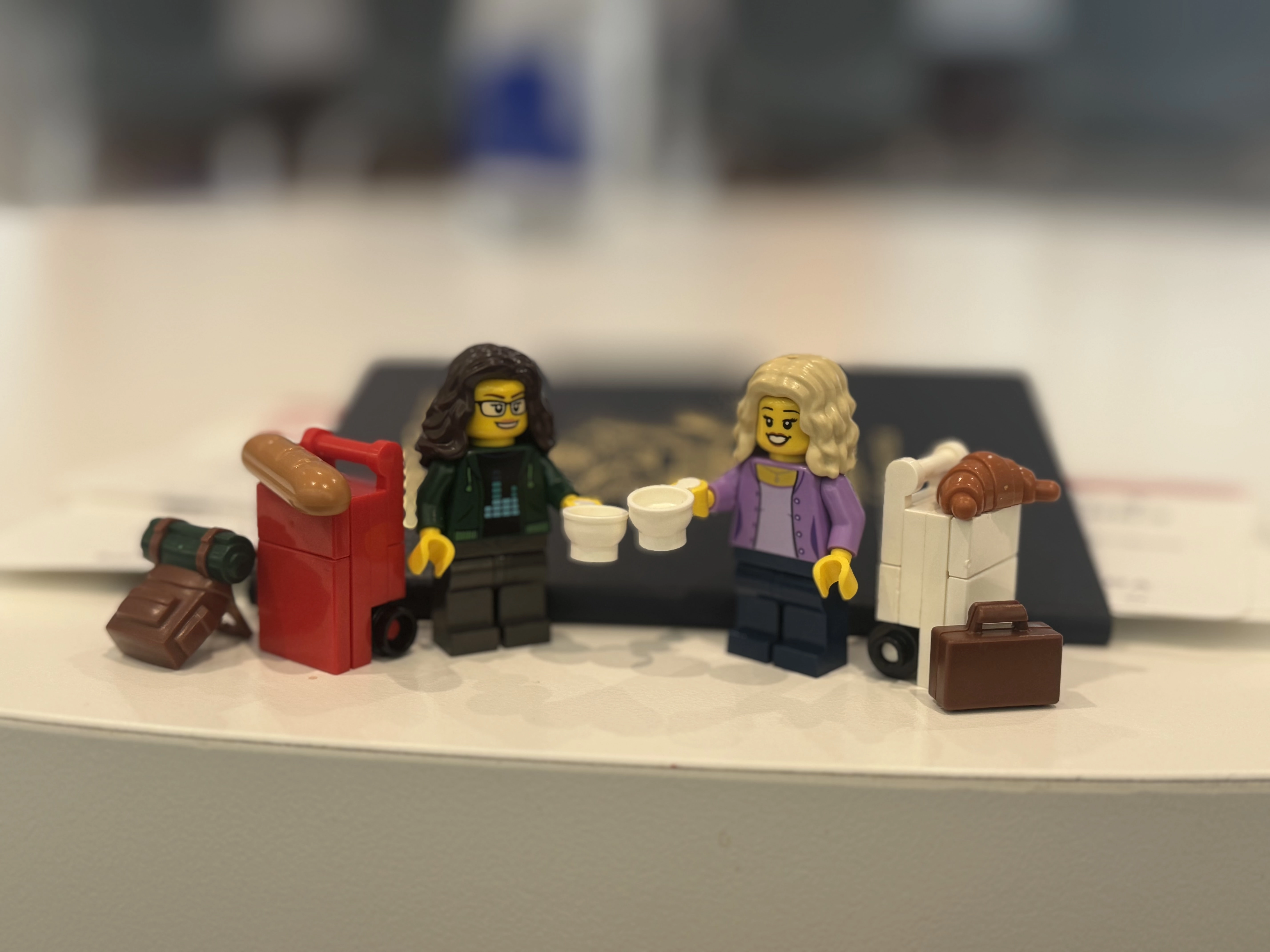 Hunter Douglas Dealer Image