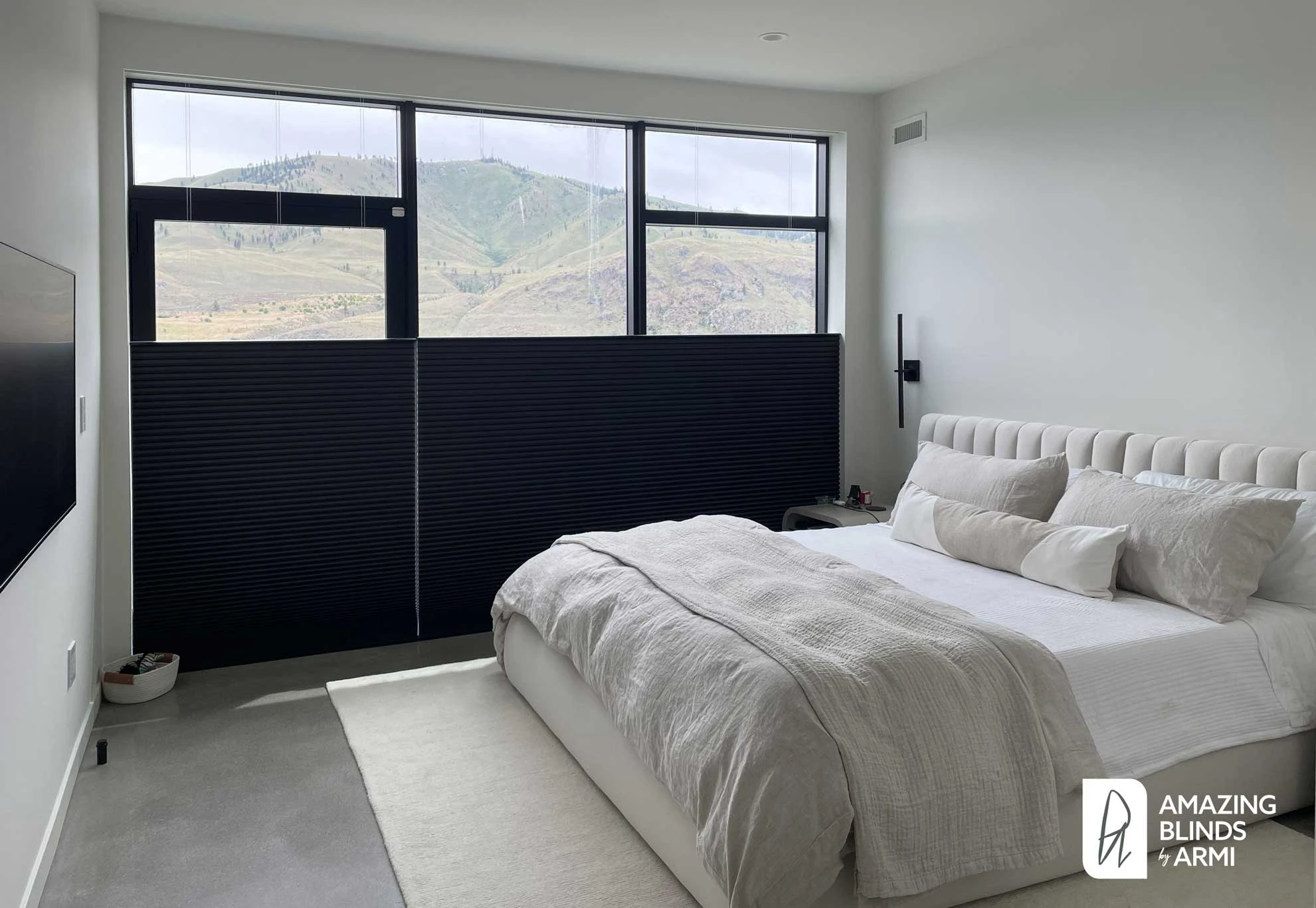 Bedroom windows with blinds.