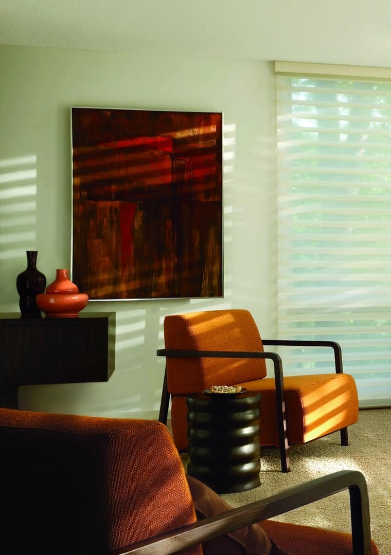 photo: 10025382-banner-window-treatments-for-sunny-rooms.jpg