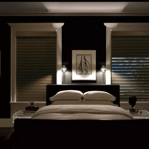 Motorization