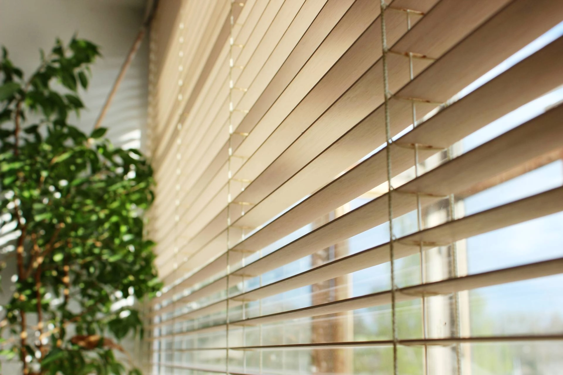 photo: 10052610-banner-for-your-business-choose-hunter-douglas-blinds-near-stoneham-ma.jpg