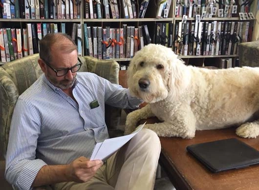 Bob Helping with Wallpaper Selection