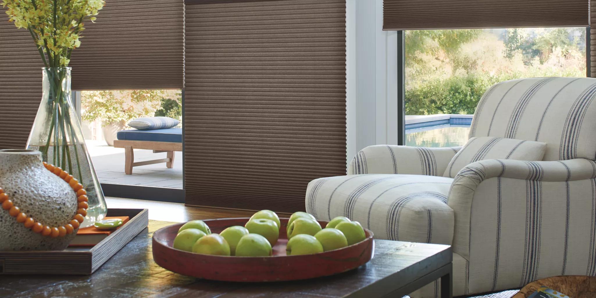 Duette Window Shadings