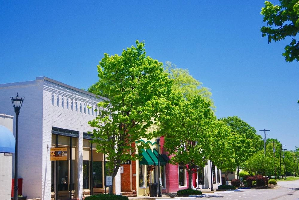 photo: 10040815-site-chapin-sc.jpg