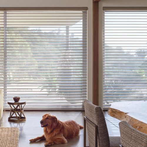 Large Window Treatments & Blinds