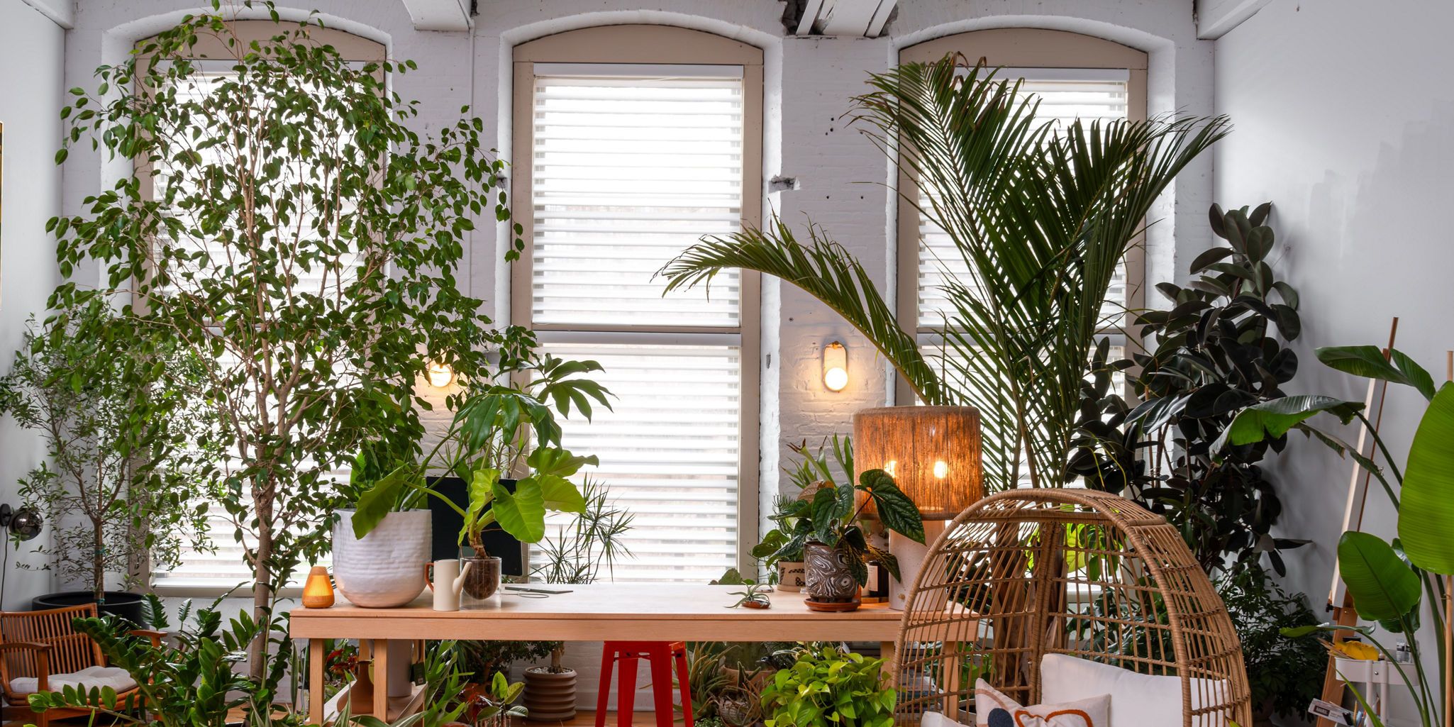 How Stylist Hilton Carter Perfects the Light in His Plant-Filled Office