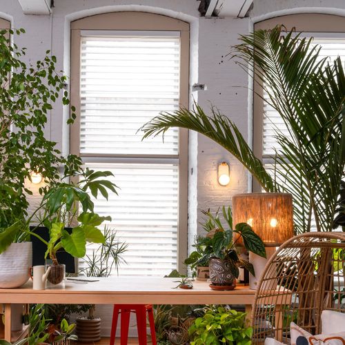 How Stylist Hilton Carter Perfects the Light in His Plant-Filled Office