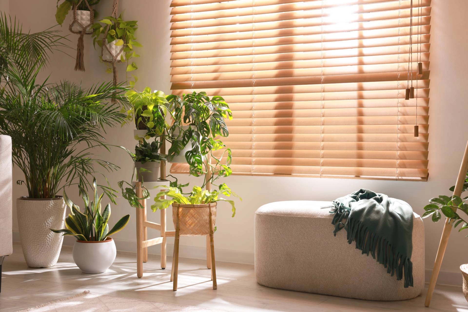 photo: 10162474-banner-where-to-find-new-blinds-and-shutters-near-tucson-az-in-2025.jpg