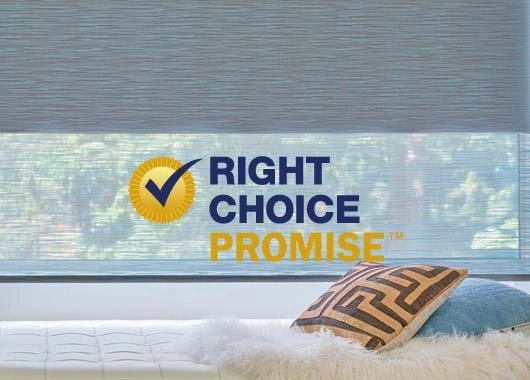 photo: Right-Choice-Promise.jpeg