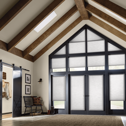 Motorized Skylight Shades