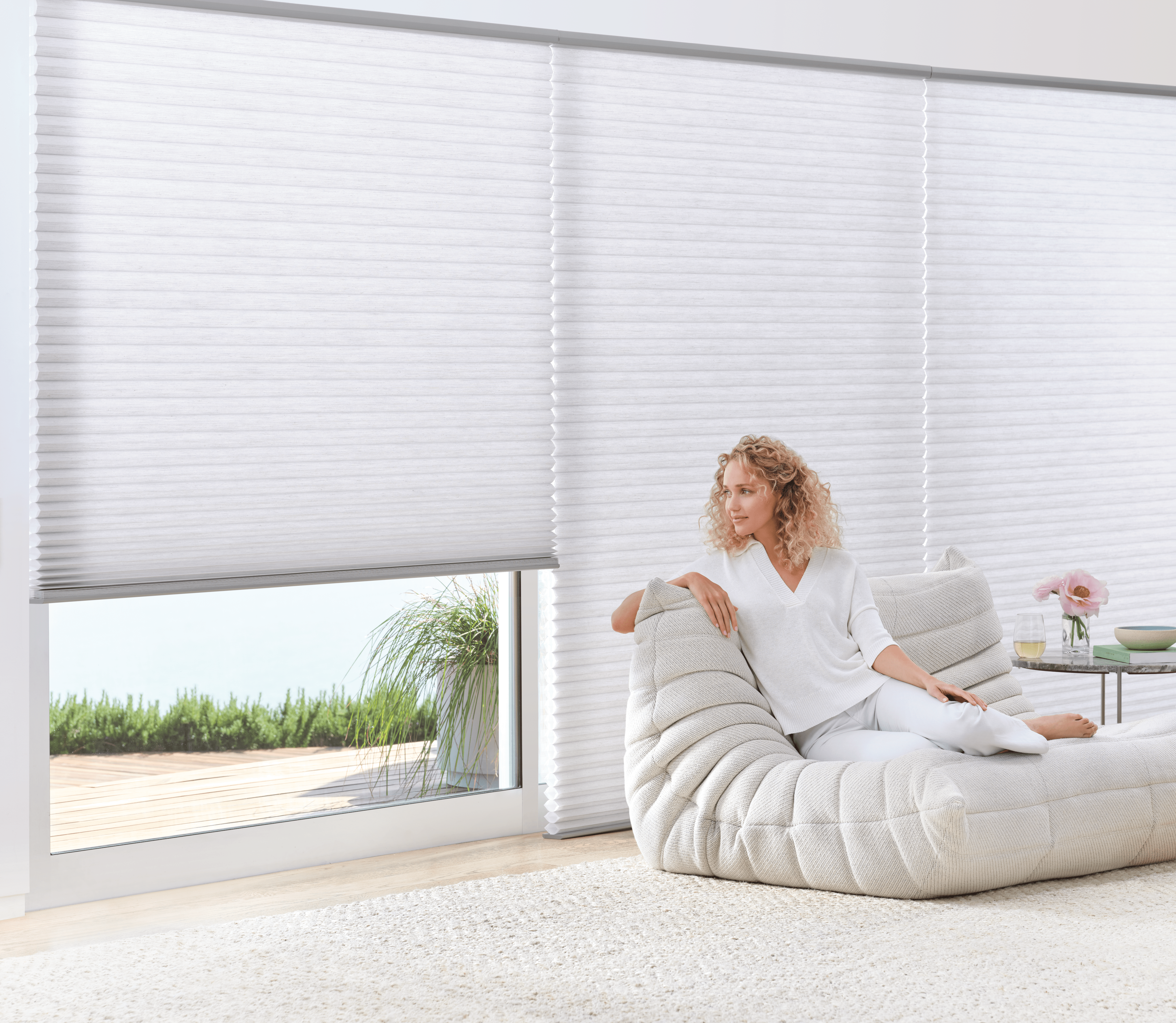 Modern Window Shades