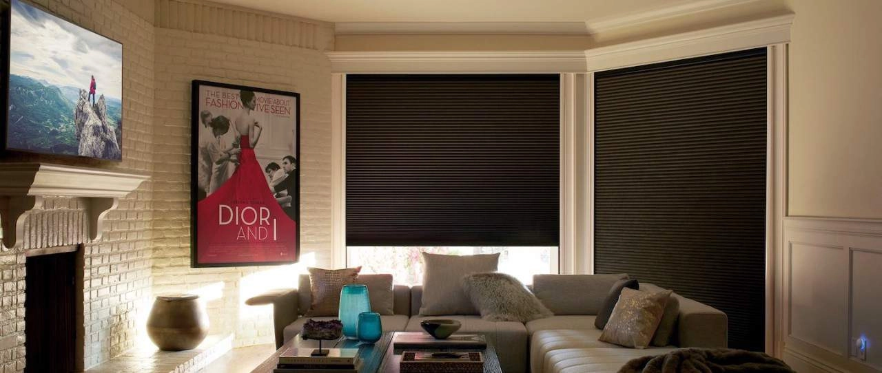 photo: 10038561-banner-why-we-love-cellular-shades.jpg